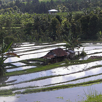 Photo de Bali - Banjar et Gitgit